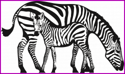 13 Ideas of Lion And Zebra Clipart - About Lion Animal