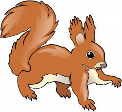 Clipart - Squirrel
