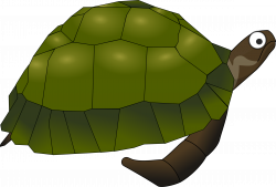Clipart - Green cartoon turtle