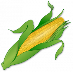 Cornfield Clipart Ear Corn Free collection | Download and share ...