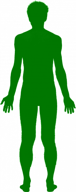 28+ Collection of Human Shadow Clipart Png | High quality, free ...