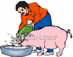 A Man Feeding a Pig - Royalty Free Clipart Picture