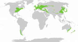 Map Of Us Subtropical Crops | Cdoovision.com