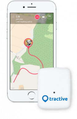 Tractive GPS Tracker for Dogs and Cats | Tractive