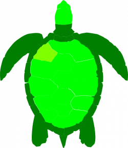 Green Sea Turtle Clip Art at Clker.com - vector clip art online ...