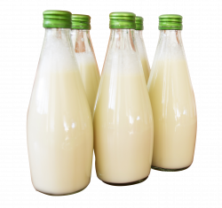 PNG Milk Bottle Transparent Milk Bottle.PNG Images. | PlusPNG