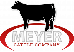 Meyer Cattle - Angus Cattle Bred For Performance - Missouri