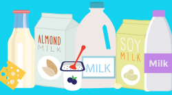 Milk Alternatives For Toddlers