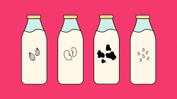 4 Best Milk Options for Diabetes