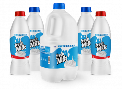 Milkcom | Milkcom