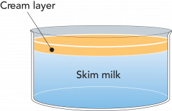 THE CHEMISTRY OF MILK | Dairy Processing Handbook
