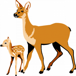 28+ Collection of Deer And Fawn Clipart | High quality, free ...