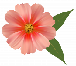 Orange Flower PNG Image Clipart | Gallery Yopriceville - High ...