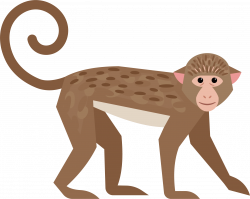 Ape Monkey - Cute little monkey 2209*1767 transprent Png Free ...