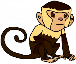 Image - Capuchin Monkey.png | Fantendo - Nintendo Fanon Wiki ...