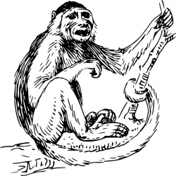 Capuchin Monkey clip art Free vector in Open office drawing ...