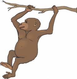 Swinging Chimp Clip Art at Clker.com - vector clip art online ...