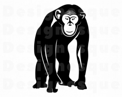 Chimp SVG, Monkey, Chimpanzee SVG, Chimpanzee Clipart, Chimpanzee Files for  Cricut, Chimpanzee Cut Files For Silhouette, Dxf, Png, Vector