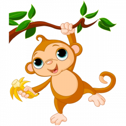 28+ Collection of Cute Hanging Monkey Clipart | High quality, free ...