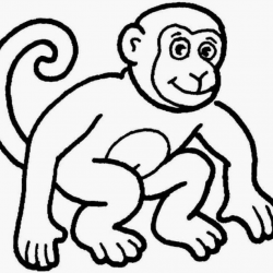 Monkey Outline Drawing at PaintingValley.com | Explore ...