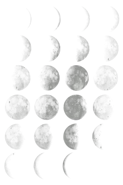 moon phases (365blanc) | Pinterest | Moon phases, Moon and Overlays