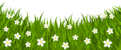 Grass Ground with Flowers PNG Clip Art Image | Gallery Yopriceville ...