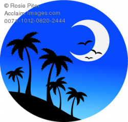 A Crescent Moon With Silhouetted Palm Trees at Night Time ...