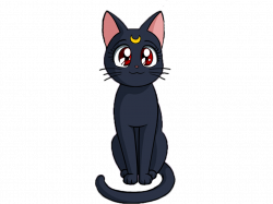 Sailor Moon Cat - Cute Cat 2018