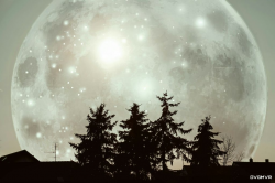 silver moon ... see you tonight minimal silhouette na...