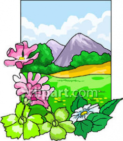 Mountain flower clipart 20 free Cliparts | Download images ...