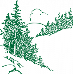 Pine Tree clipart green mountain - Pencil and in color pine tree ...