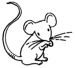 Mouse Clip Art Black And White Free | Clipart Panda - Free ...