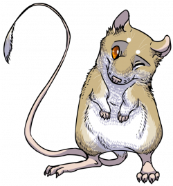 Azarios Kangaroo Rat by grump-the-deer on DeviantArt