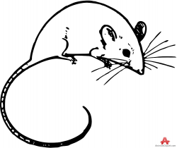 15 Mouse drawing for free download on Ayoqq cliparts