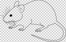 Laboratory Mouse Laboratory Rat Drawing PNG, Clipart, Animal ...