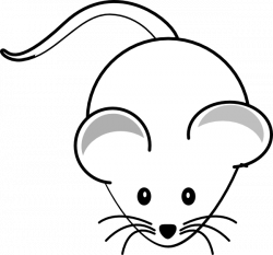Mouse Balbc Clip Art at Clker.com - vector clip art online, royalty ...