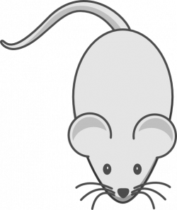 Light Grey Mouse Grey Outline Clip Art at Clker.com - vector ...