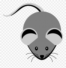 Rat Clipart Gray Mouse - Grey Clipart - Png Download ...