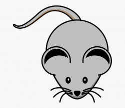 Mouse Grey Rodent Whiskers Lab - Clip Art Mouse, Cliparts ...