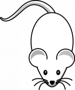 White Lab Mouse Clip Art at Clker.com - vector clip art ...