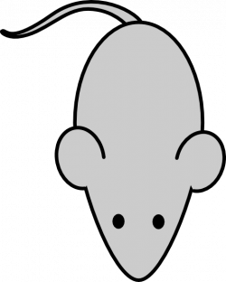 Lab Mouse Template Clip Art at Clker.com - vector clip art ...