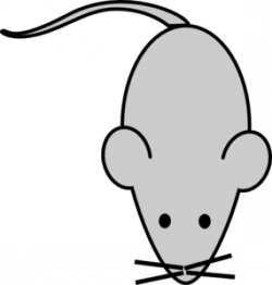 Lab Mouse Template2 Clip Art at Clker.com - vector clip art ...