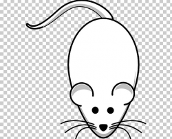 Laboratory Rat Mouse Black Rat Drawing PNG, Clipart, Animals ...