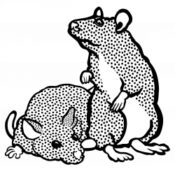 Clipart - mice - lineart