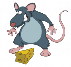 Rat Cartoon Drawing Clip art - Cheese and mouse 620*587 transprent ...