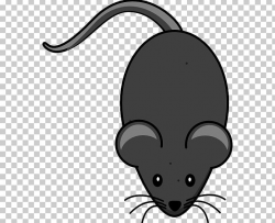 Computer Mouse Tail PNG, Clipart, Black, Black And White ...