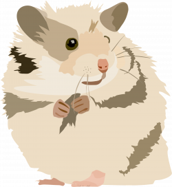 Clipart - Hamster