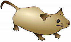 File:Mouse.svg - Wikimedia Commons