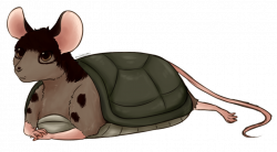 Turtle Mouse by Midoromi on DeviantArt
