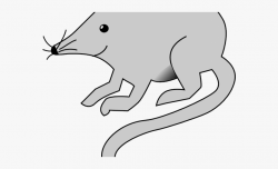 Rat Mouse Clipart White - Mouse Clip Art #369839 - Free ...